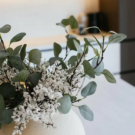 Apartment Heated Pool Kalega Split