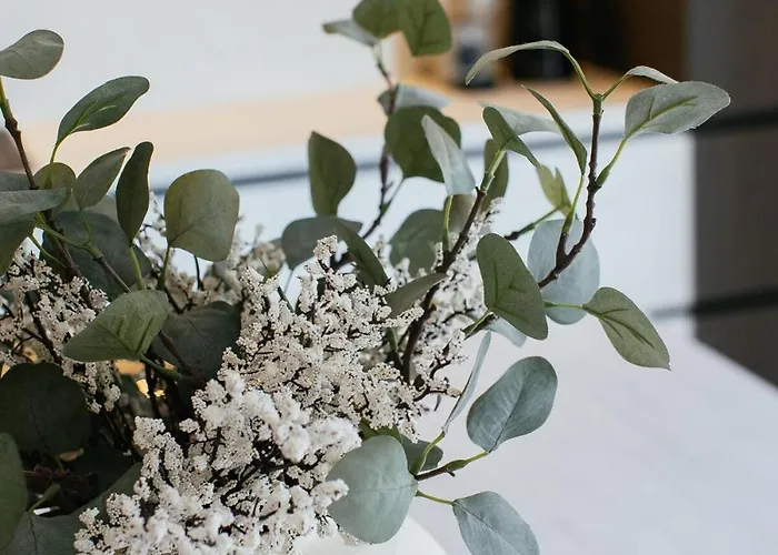 アパート Heated Pool Kalega スプリト