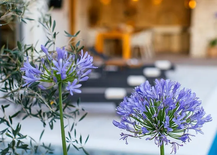 Heated Pool Kalega *